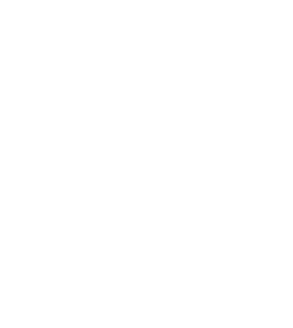 C 알파벳