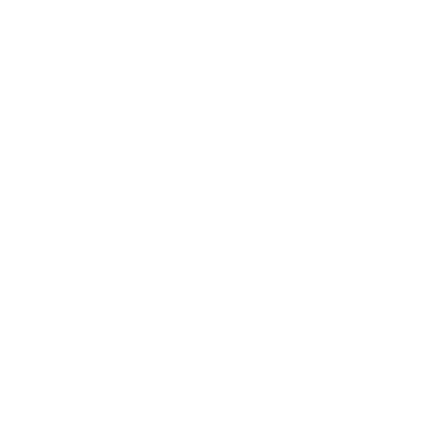 D 알파벳